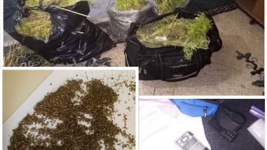 Photo of PU DOBOJ: Pronađeno 19,25 kg opojne droge marihuane