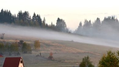 Photo of PUTEVI: Poledica u višim predjelima, magla na području Kneževa i Mrkonjić Grada