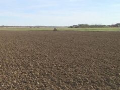 Optimalni uslovi za završetak jesenje sjetve