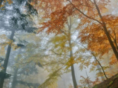 VRIJEME: Magla na sjeveru i istoku, sunčano u ostalim predjelima