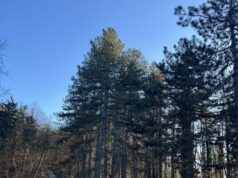 VRIJEME: Sutra promjenljivo, vjetrovito i toplije