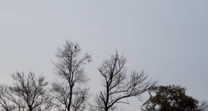 VRIJEME: Sutra oblačno sa slabim padavinama