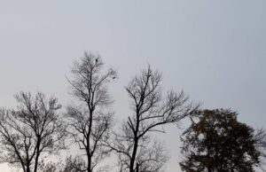 VRIJEME: Sutra oblačno sa slabim padavinama