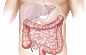 Jetra ima sopstveni biološki sat: Kako da uskladite obroke i san