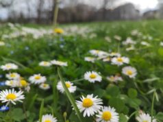 VRIJEME: Sutra u prvom dijelu dana sunčano i toplo