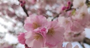 VRIJEME: Sutra sunčano i toplije, temperatura do 23 stepena