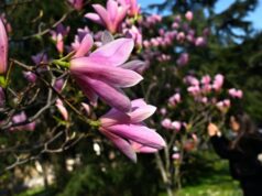 VRIJEME: Sutra sunčano i toplije