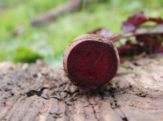 Ova namirnica je prava “metla” za crijeva i regeneriše jetru dok spavate