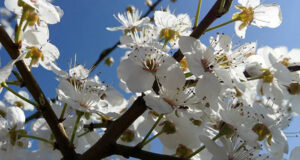 VRIJEME: Sutra sunčano, ali svježije