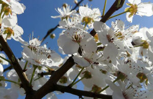 VRIJEME: Sutra sunčano, ali svježije