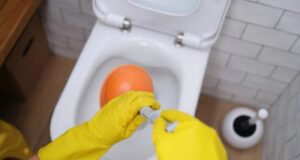 WC šolja pravi problem? Evo kako da ga sami riješite